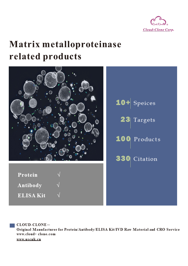 Matrix metalloproteinases-Protein Antibody ELISA1.PNG