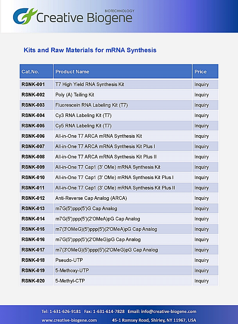 Kits and Raw Materials for mRNA Synthesis_페이지_2.jpg