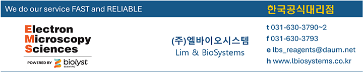 브랜드-뉴스초안-2411080.png