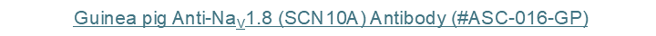 241111-8.PNG