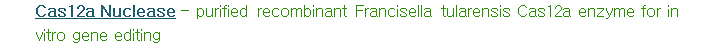news-240912-8.png